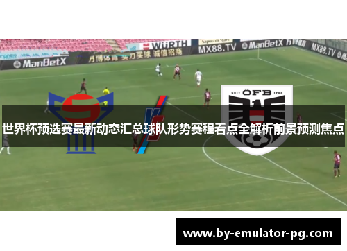 世界杯预选赛最新动态汇总球队形势赛程看点全解析前景预测焦点